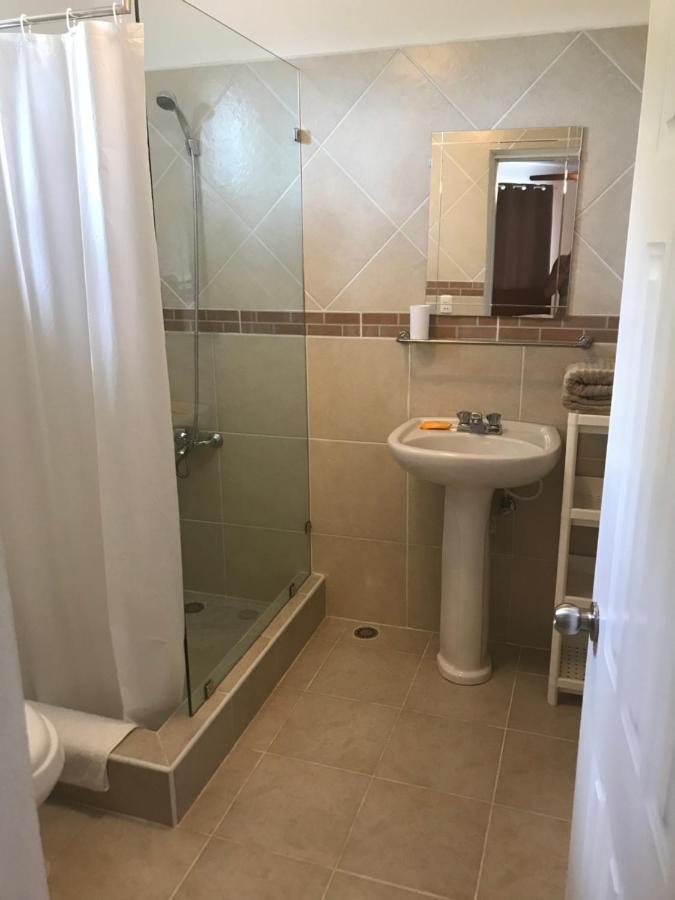 Appartement And Scooter For Free *